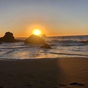 Meet your Posher, George